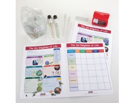 HANDS ON KINGDOMS OF LIFE