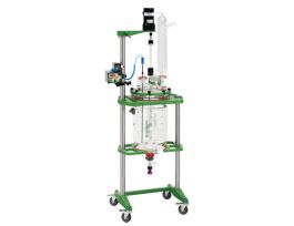 REACTOR SYSTEM 30L COMPLETE