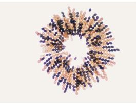 CROSSING OVER IN SORDARIA