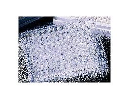 PLATE 96W FLAT TC STER CS100.