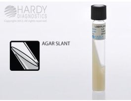 LOEFFLERS SLANT 5.5ML PK20