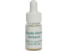 BRUCELLA ABORTUS ANTISERUM, 3ML