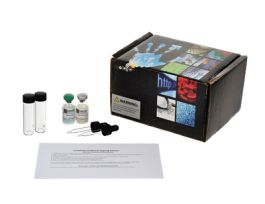 CHEMICAL FORMULAS I KIT CS