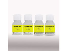 L-GLUTAMINE 200MM 4X100ML