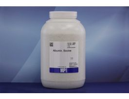 ALBUMIN BOVINE FR V 1000.00GM