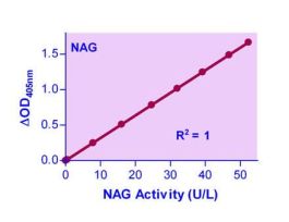 B-N-ACETYLGLUCOSAMINIDASE ASSAY KIT