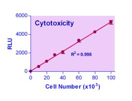 KIT CYTOTOXICITY ASY ENZYLIGHT 100 TESTS