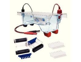 Electrophoresis Chamber Dual Edvotek