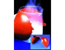 HOT HAND PROTECTOR/GRIPPER CS