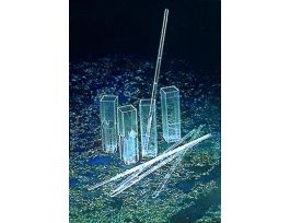 DISPOSABLE CUVETTE STIRRERS