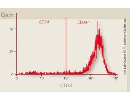 HCD34+-CB-C SINGLE DONOR