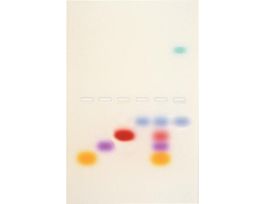 KIT - PRINCIPLES/AGAROSE GEL