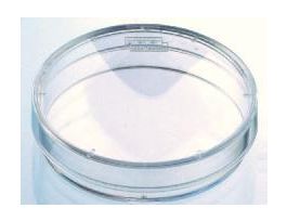 DISH LAMININ 100X20MM CS10.