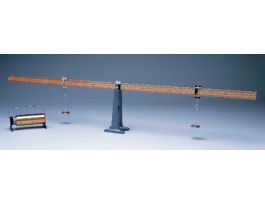 MOMENT OF FORCE APPARATUS W/ WEIGHTS. EA