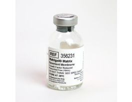 MATRIGEL MATRIX GFR 5ML.