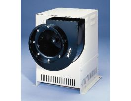 CS EP BLR 1/4 HP 115V/60HZ/10