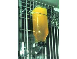 PRANG ORANGE (1KG/JAR)