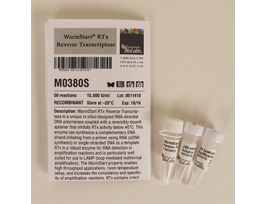 WARMSTART RTX REVERSE TRANSM0380S