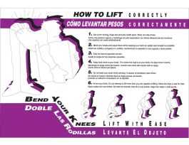 How To Life Correctly Poster - Bilingual