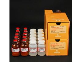 KINASE ASY LUMIN KINASE-GLO MAX 10+?100ML