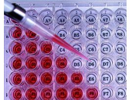 96-WELL ORIENTER 4BX