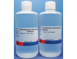 SOLUTION HYBRIDIZATION DENATURING 1L