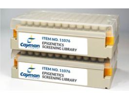 EPIGENETICS SCREENLIBRARY 11076-50