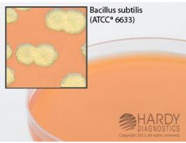MEDIUM MYP AGAR PLTD F/BAC CEREUS PK10
