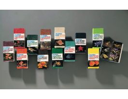 BOOK BIRDS WESTERN REGION FIELD GUIDE