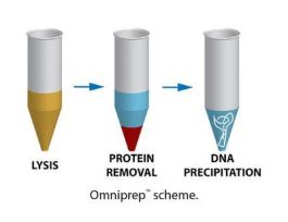 OMNIPREP FOR MOUSE TAIL 200CM
