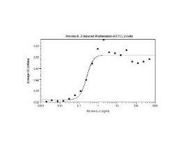 RECOM E.COLI PORCINE IL-2 >/=95% 20UG