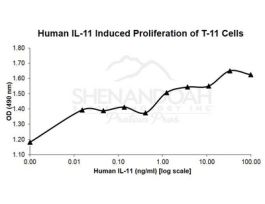 HUMAN IL-11 100UG