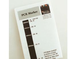 PCR MARKER