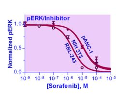 KIT ERK PHSPHRYLT ASSAY ENZYFLUO 100TEST