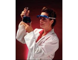 GOGGLES FULLVISION W/VISR BLU