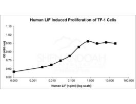 ANIMAL FREE HUMAN LIF 2 5UG