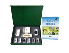 KIT REALBUG INSECT FRIENDS