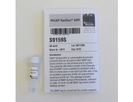 SNAP-SURFACE 649 - 50 NMOL.