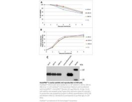 FECTOPRO DNA TRANSFECTION REAGENT 10 ML