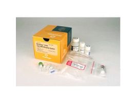 MINISYSTEM TOT RNA RELIAPREP FFPE 10 RXN