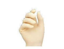 GLOVE EXAM PF NTRL FNGR TEX LG CS