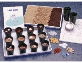 DECOMPOSITION LAB ACTIVITY