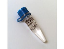 NEBNEXT Q5 HOT START HIFI PCR MM