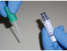 COLLECTION PAPERS 20 X 50