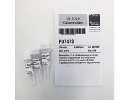 A1-346 GALACTOSIDASE-200 UNITS