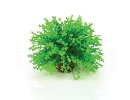 BIORB FLOWER BALL TOPIARY EA