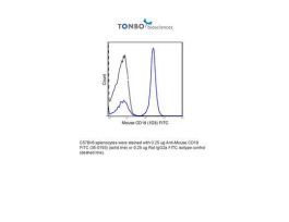 FITC ANTI-MOUSE CD19 100UG