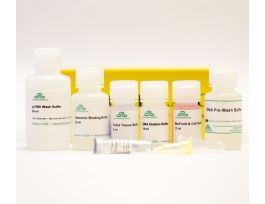 QUICK-DNA MINIPREP PLUS KIT 10 PREPS