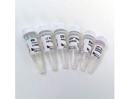 PRECR REPAIR MIX, 30 REACTIONS