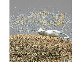 ANIMAL BEDDING 18 KG